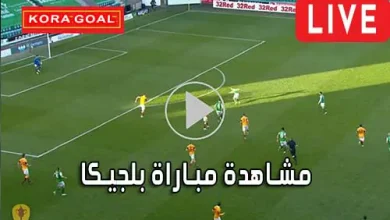 مشاهدة مباراة بلجيكا بث مباشر Belgium Live