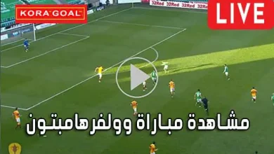 مشاهدة مباراة وولفرهامبتون بث مباشر Wolverhampton Live